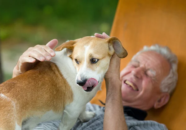 Hombre mayor con perro — Foto de Stock