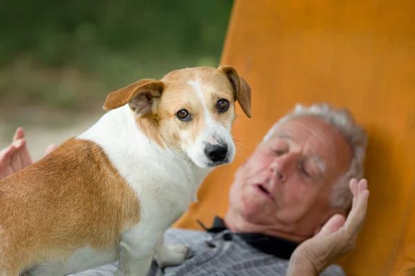 강아지와 수석 남자 — 스톡 사진