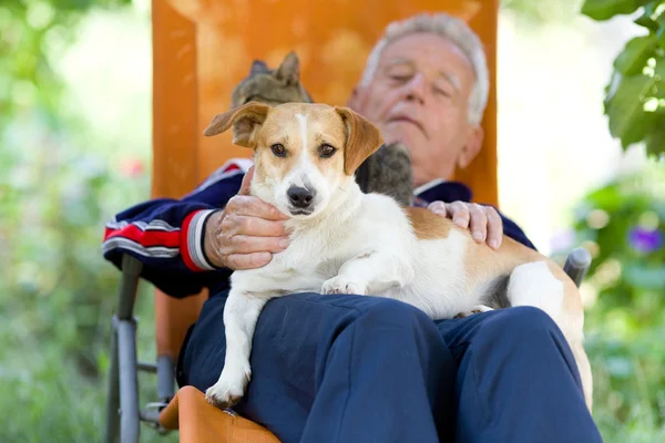 Senior man with dog and cat — Stock Photo, Image