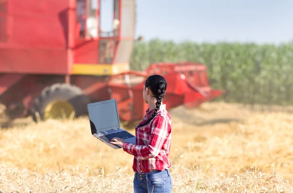 Девушка с ноутбуком на пшеничном поле — стоковое фото