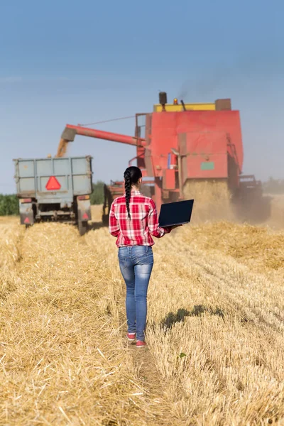 Jonge vrouw in een tarweveld tijdens oogst — Stockfoto