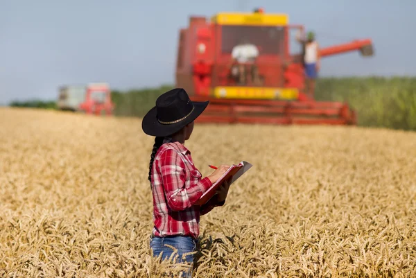 Молодая женщина на пшеничном поле во время сбора урожая — стоковое фото