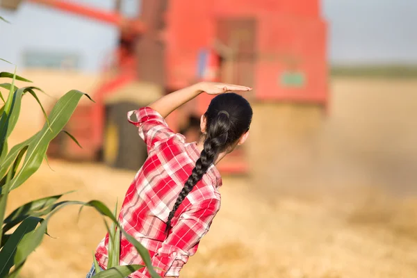 Giovane donna nel campo di grano durante il raccolto — Foto Stock