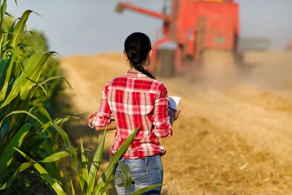 Giovane donna nel campo di grano durante il raccolto — Foto Stock
