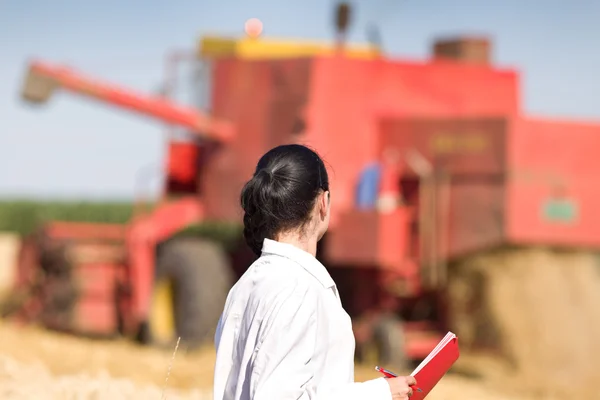 Nő agronómus búza területén — Stock Fotó