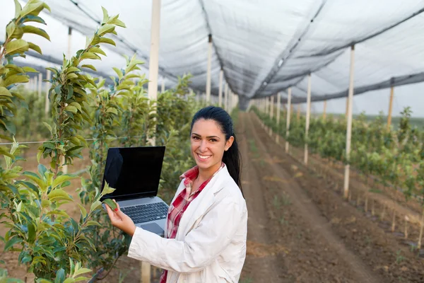 Kvinnan agronom i trädgården — Stockfoto