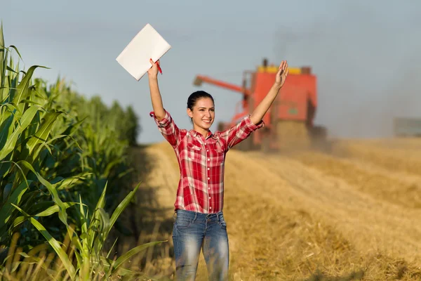 农民在麦田中的女人 — 图库照片