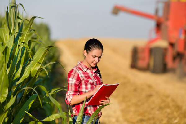 Woman agronomist in wheat field