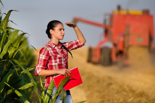 Woman agronomist in wheat field