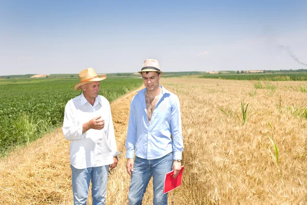 Due uomini sul campo — Foto Stock