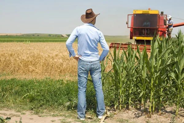 Agricultor en el campo durante la cosecha — Foto de Stock