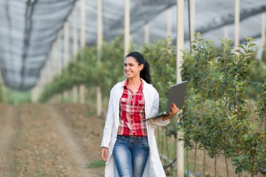 Woman agronomist in the orchard clipart