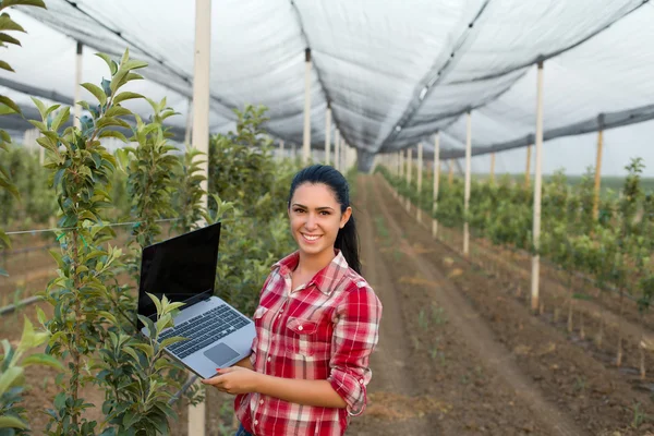 Vrouw agronoom in de boomgaard — Stockfoto