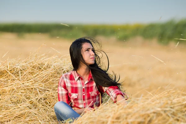 Vento soffia capelli lunghi della ragazza nel campo — Foto Stock