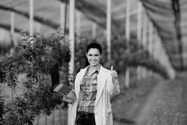 Satisfeito mulher agrônomo em pomar — Fotografia de Stock