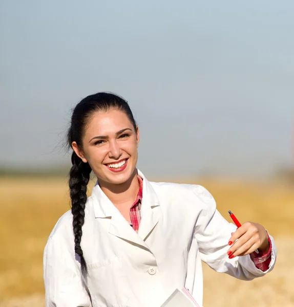 Nő agronómus búza területén — Stock Fotó