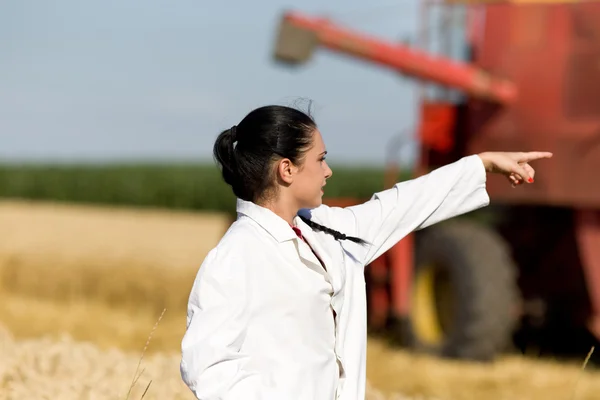 Mujer agrónoma en campo de trigo —  Fotos de Stock