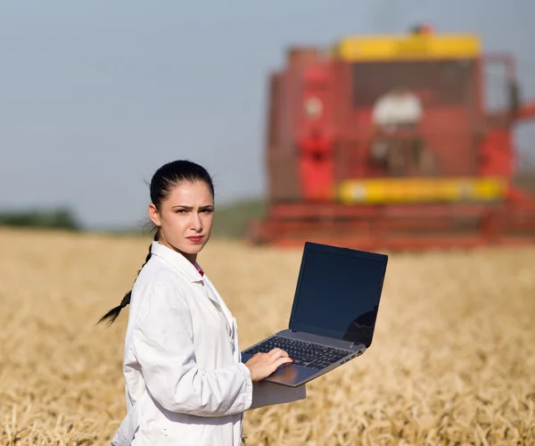 Mujer agrónoma en campo de trigo — Foto de Stock