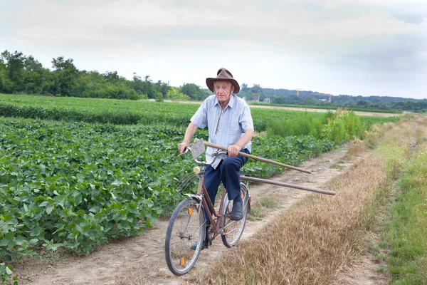 Старший фермер їде на велосипеді — стокове фото