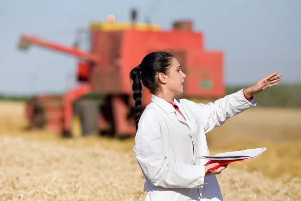 Žena agronom v pšeničné pole — Stock fotografie