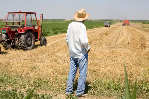 农民站在田野上 — 图库照片