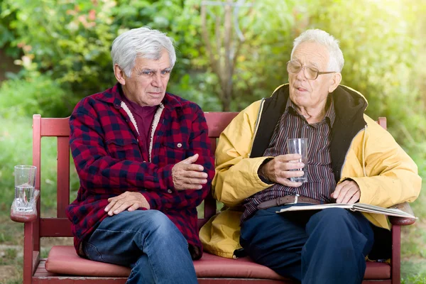 Homens seniores no parque — Fotografia de Stock