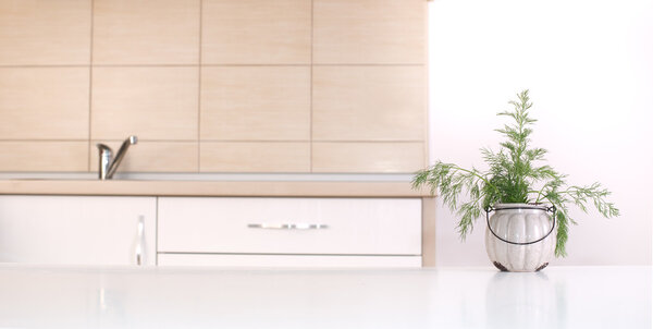 Dill in pot on kitchen countertop