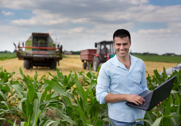 Zakenman in het veld — Stockfoto