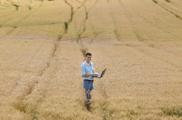 Zakenman in het veld — Stockfoto