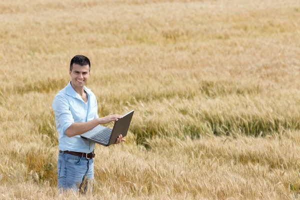 Businessman in the field — Stock Photo, Image