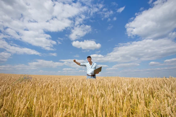 Hombre de negocios en el campo — Foto de Stock