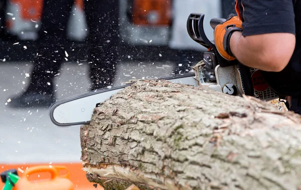 Hombre cortando tronco con motosierra — Foto de Stock