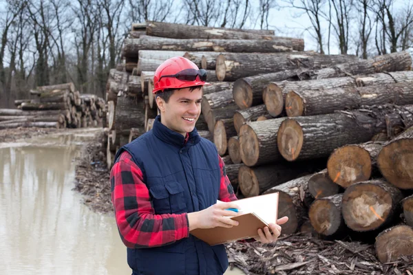 Holzindustrie-Ingenieur — Stockfoto
