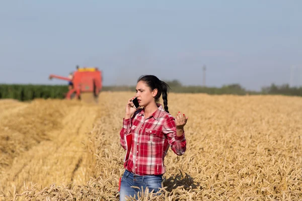 Красивая женщина разговаривает по мобильному телефону на пшеничном поле — стоковое фото