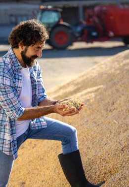 Erkek çiftçi, arka planda bir traktör ve besleyici mikserle bir çiftlikte bir kazığın yanında dururken elinde mısır tarlasını besliyor.