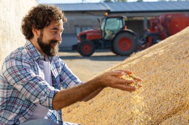 Erkek çiftçi, arka planda bir traktör ve besleyici mikserle bir çiftlikte bir kazığın yanında dururken elinde mısır tarlasını besliyor.