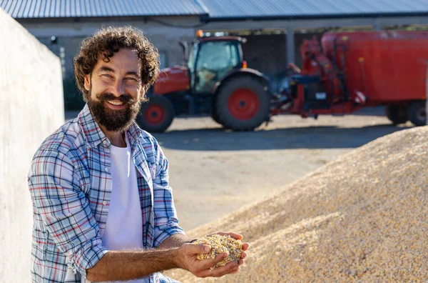 Erkek çiftçi, arka planda bir traktör ve besleyici mikserle bir çiftlikte bir kazığın yanında dururken elinde mısır tarlasını besliyor.