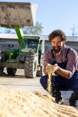 Çiftlikteki sığırlar için mısır yemi ve arka planda tarım makineleri tutan tatmin olmuş çiftçi.