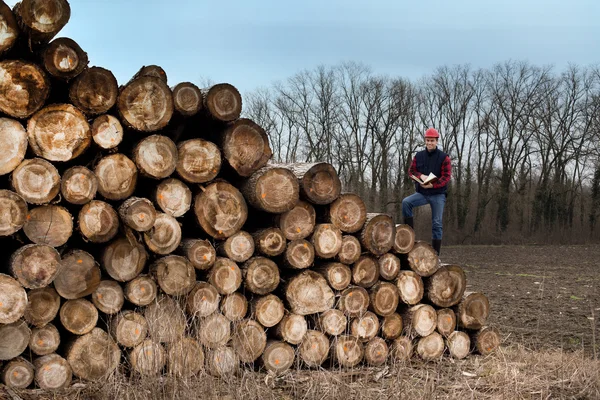 Lumberjak com troncos — Fotografia de Stock