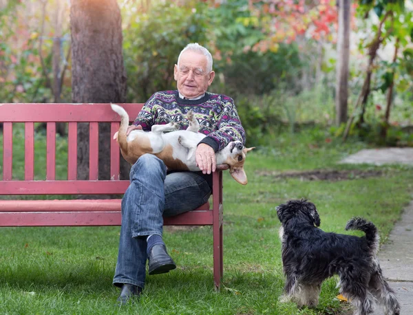 Hombre mayor con perros — Foto de Stock