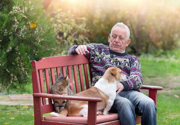 Hombre mayor con perros y gato — Foto de Stock