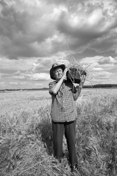 Gamla bonden i fältet — Stockfoto
