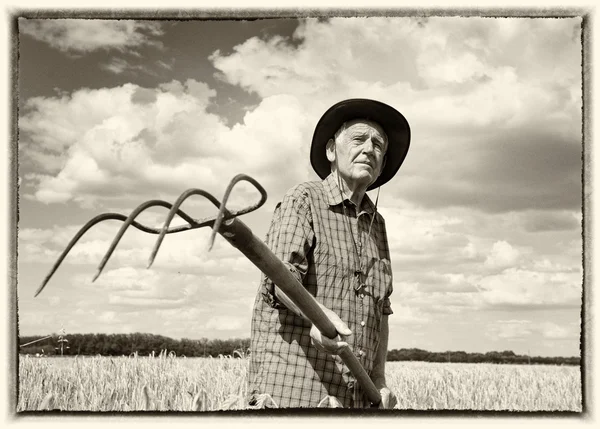 Hombre mayor trabajando en el campo — Foto de Stock