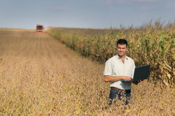 Homem com laptop em campo de soja — Fotografia de Stock