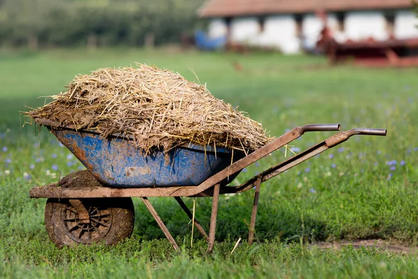 Wheelbarrow with cattle manure — Stock Photo, Image