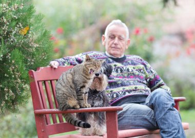 üst düzey adam kedi ve köpek