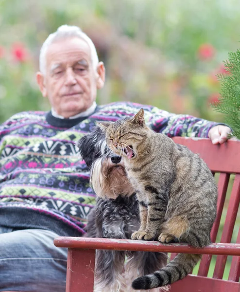 Homem sênior com gato e cachorro — Fotografia de Stock