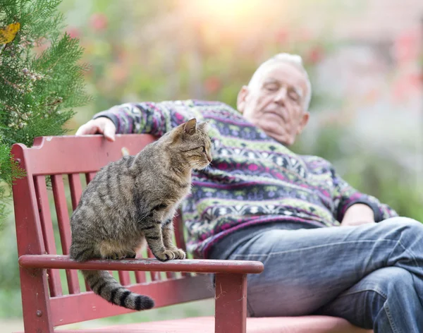 Homem sênior com gato — Fotografia de Stock