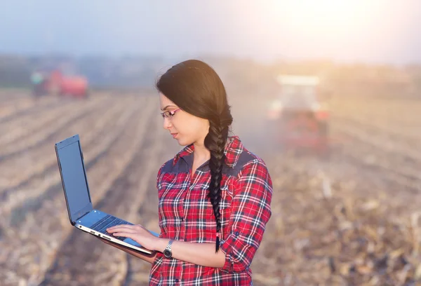 トウモロコシ畑でラップトップを持つ女性 — ストック写真