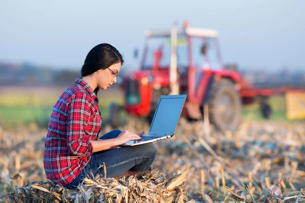 Kobieta z laptopa w polu kukurydzy — Zdjęcie stockowe